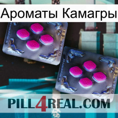 Ароматы Камагры 01